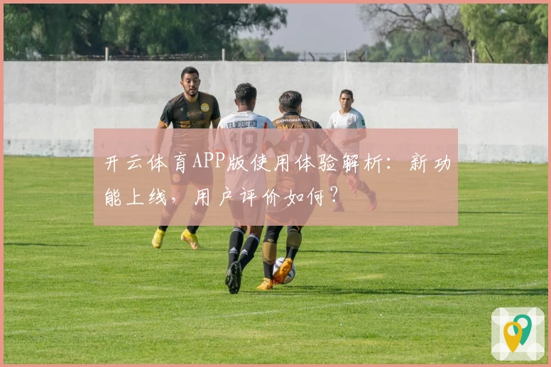 开云体育APP版使用体验解析：新功能上线，用户评价如何？