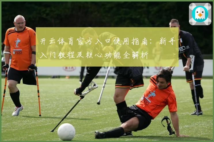 开云体育官方入口使用指南：新手入门教程及核心功能全解析