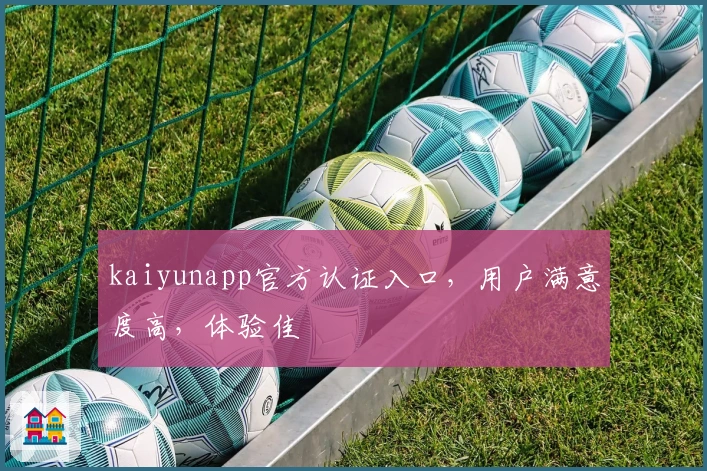 kaiyunapp官方认证入口，用户满意度高，体验佳